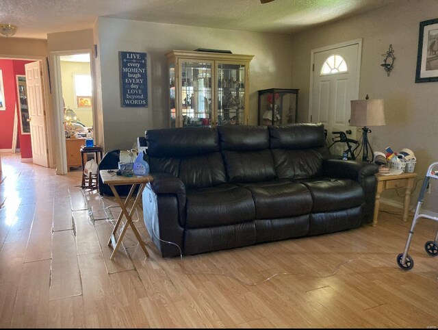 living room featuring light hardwood / wood-style flooring and a textured ceiling