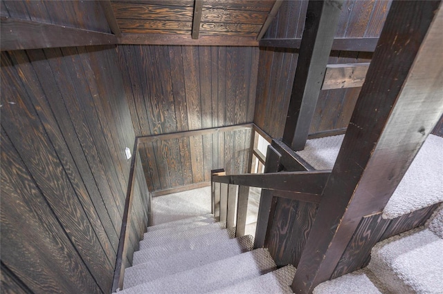 stairway with carpet flooring and wood walls