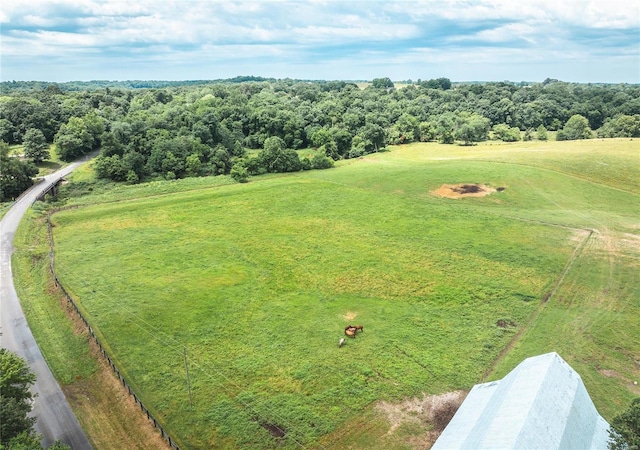 bird's eye view