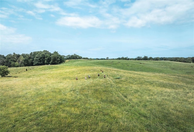 view of nature featuring a rural view