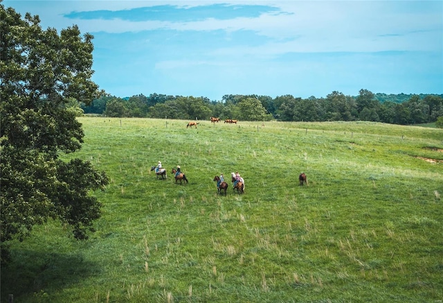 view of landscape with a rural view