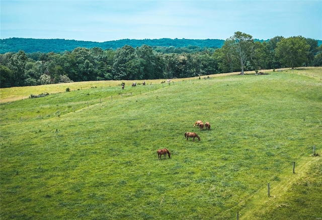 view of mountain feature featuring a rural view