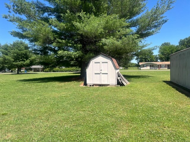 view of yard with a storage unit