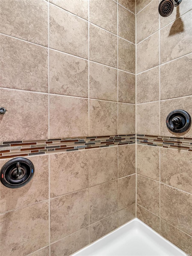 interior details with tiled shower