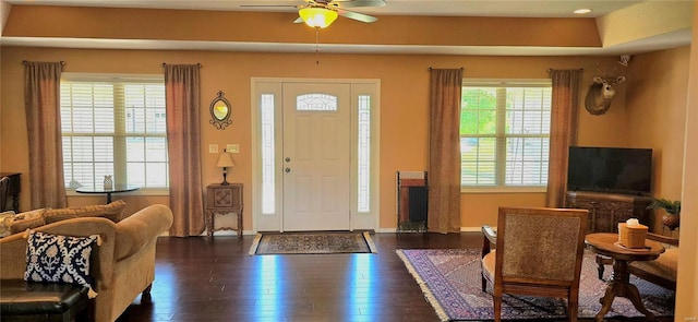 entrance foyer featuring ceiling fan, a raised ceiling, and dark wood-type flooring