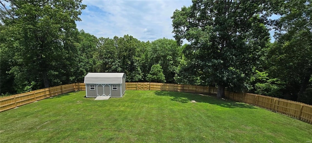 view of yard with a storage unit