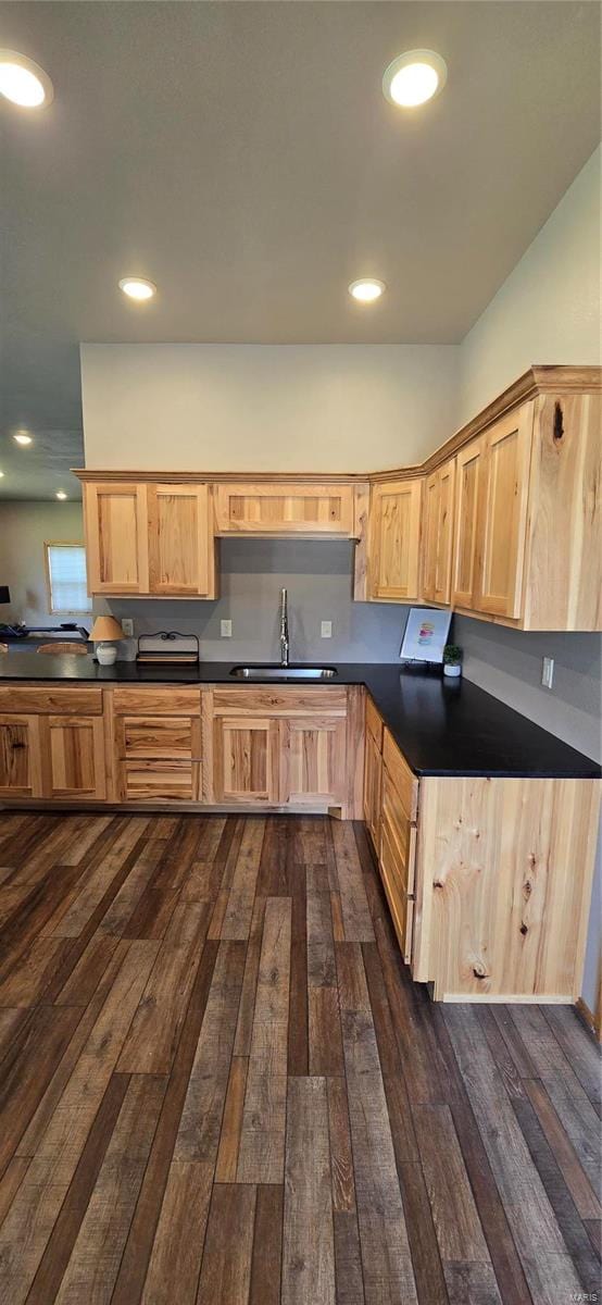 kitchen featuring sink, light brown cabinetry, and dark hardwood / wood-style floors