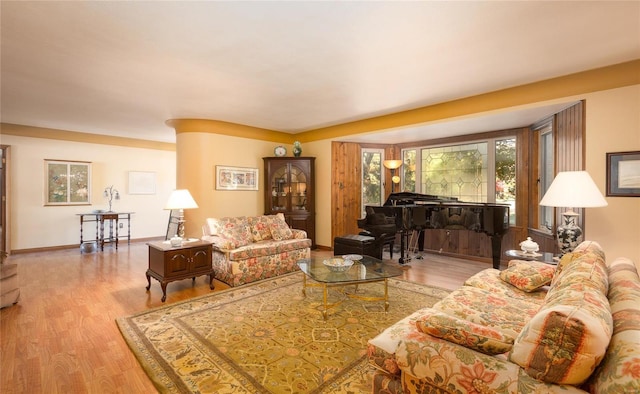 living room featuring light hardwood / wood-style floors