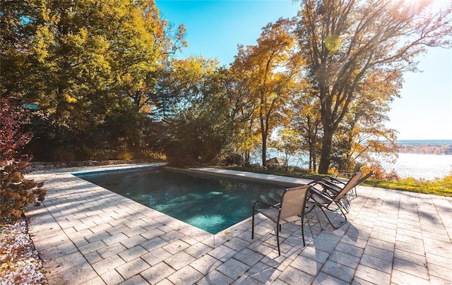 view of swimming pool with a patio