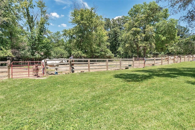 view of yard featuring a rural view