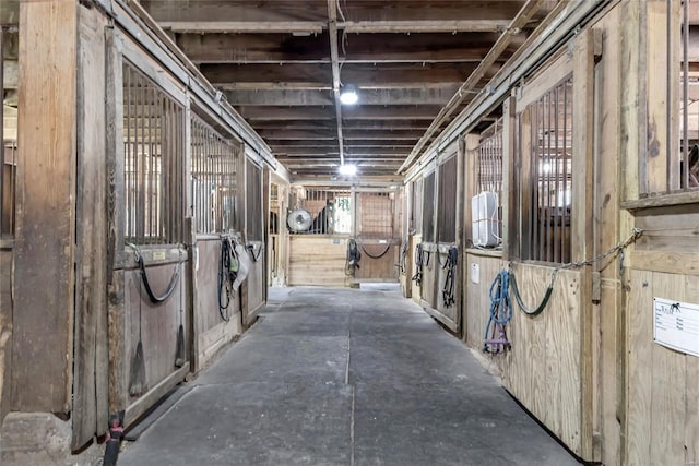 view of horse barn