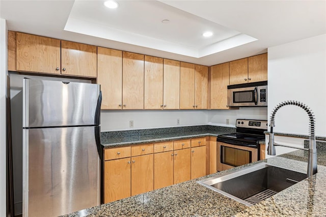 kitchen with appliances with stainless steel finishes, a tray ceiling, dark stone countertops, and sink