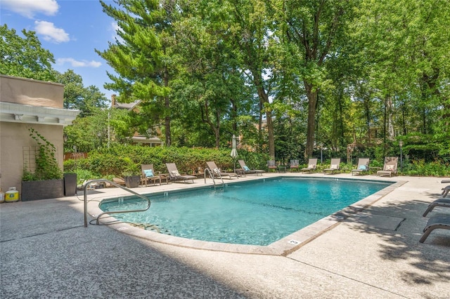 view of swimming pool with a patio