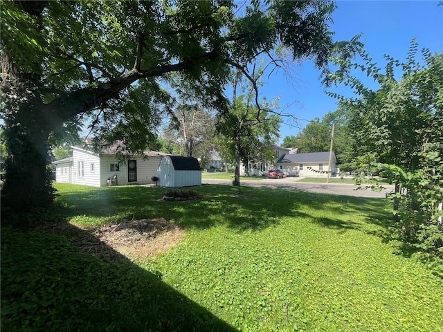 view of yard featuring a shed