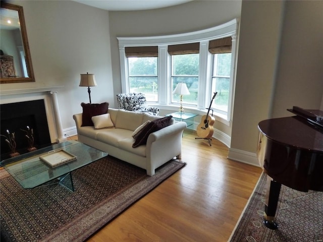 living room with light wood-type flooring