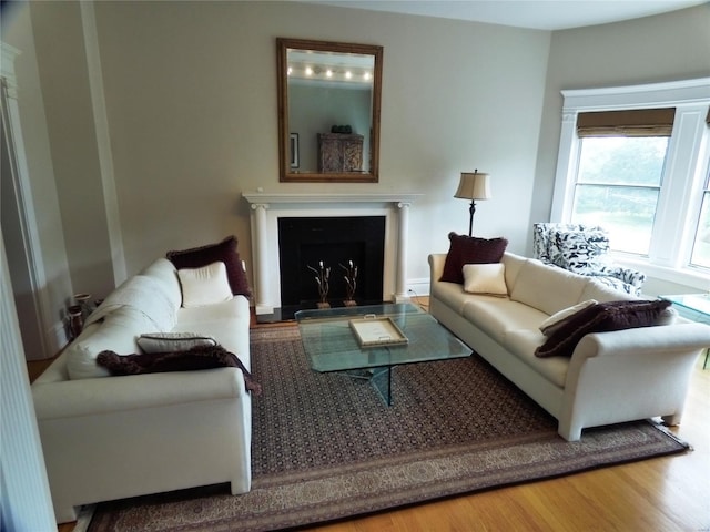 living room featuring wood-type flooring