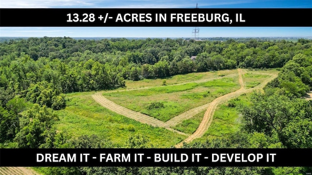 0 Five Forks Rd, Freeburg IL, 62264 land for sale