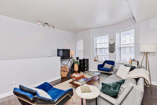 living room featuring wood-type flooring and rail lighting