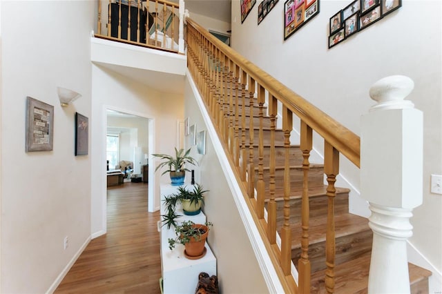 stairway with a high ceiling and hardwood / wood-style flooring