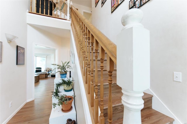 stairs with hardwood / wood-style flooring