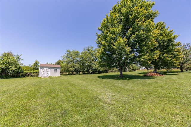 view of yard featuring a shed