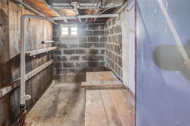 basement featuring hardwood / wood-style flooring