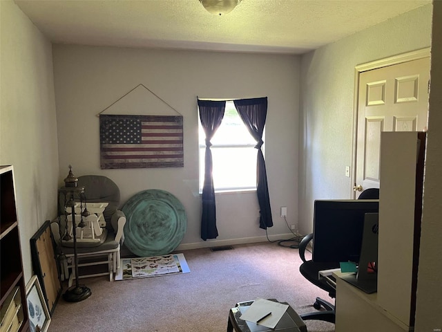 interior space with carpet flooring and a textured ceiling