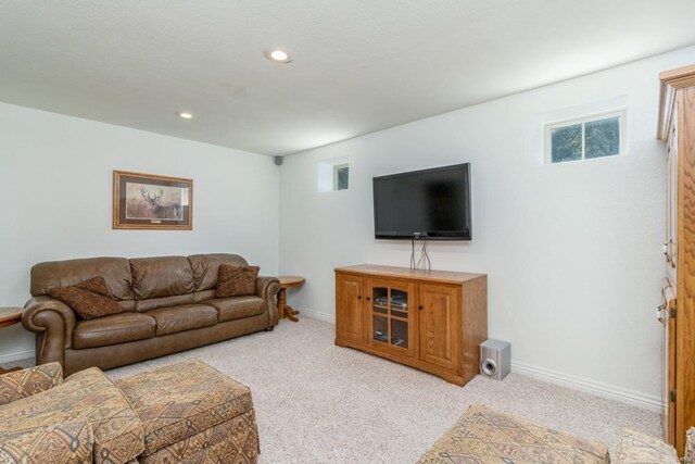 living room featuring light carpet