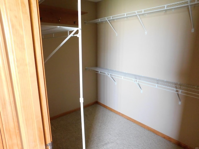 walk in closet with carpet