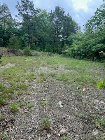 10168 Lake Ridge Dr, Hillsboro MO, 63050 land for sale