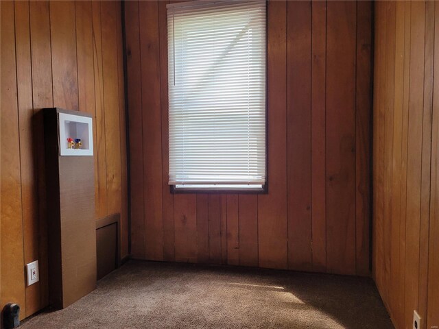 spare room featuring wooden walls, carpet, and a healthy amount of sunlight