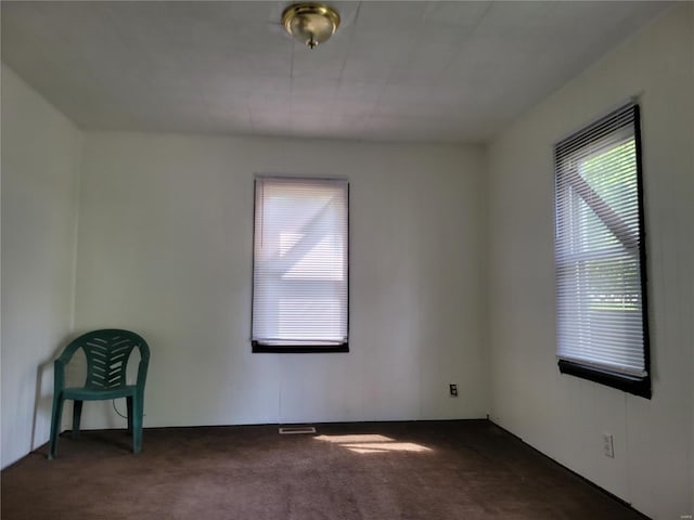 spare room featuring carpet floors