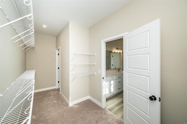 walk in closet featuring light colored carpet