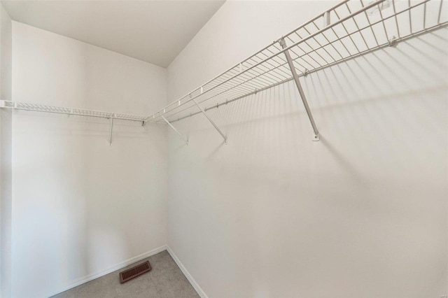 spacious closet with carpet flooring