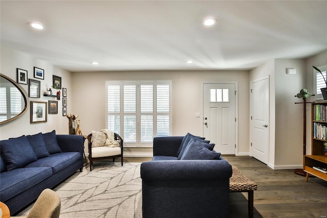 living room with wood-type flooring