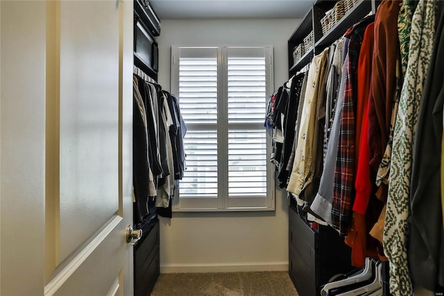 spacious closet featuring carpet floors