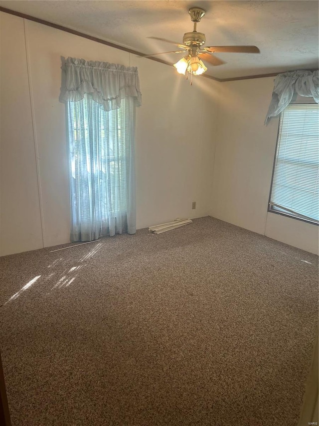 empty room featuring a textured ceiling, carpet, and ceiling fan