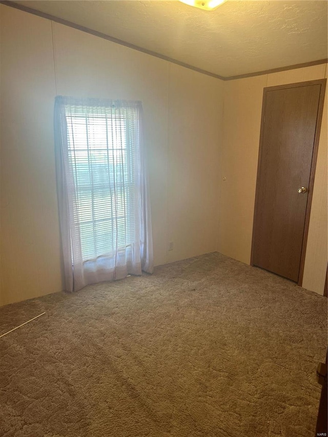 carpeted empty room with a textured ceiling