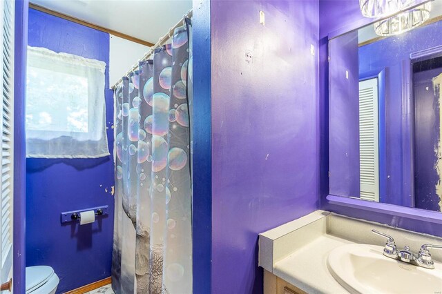 full bathroom featuring a shower with curtain, vanity, and toilet