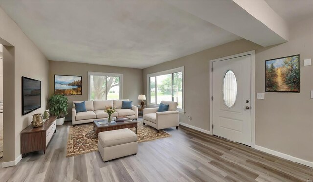 living room featuring light hardwood / wood-style floors