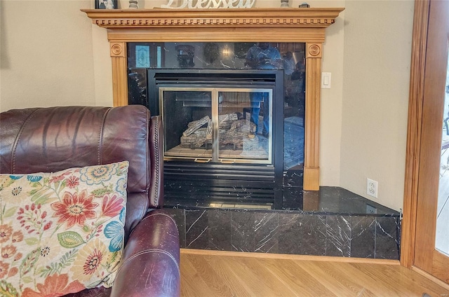 details with a fireplace and hardwood / wood-style floors