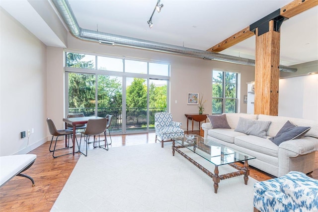 living room featuring hardwood / wood-style flooring and track lighting