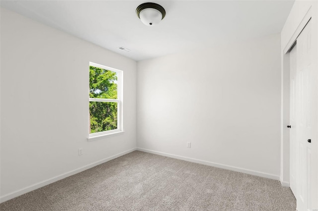 interior space featuring carpet flooring and a closet