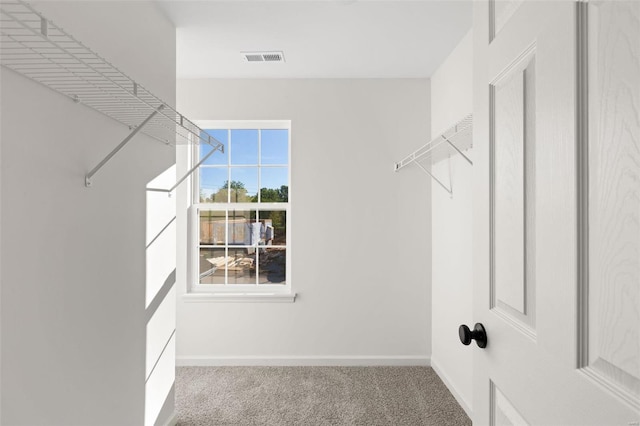 walk in closet with carpet flooring