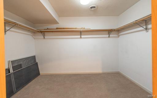 spacious closet featuring carpet