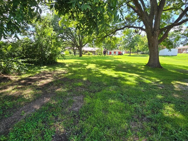 view of yard