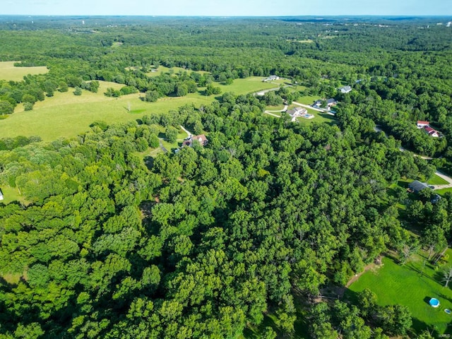 bird's eye view