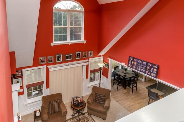 living room featuring hardwood / wood-style flooring and high vaulted ceiling