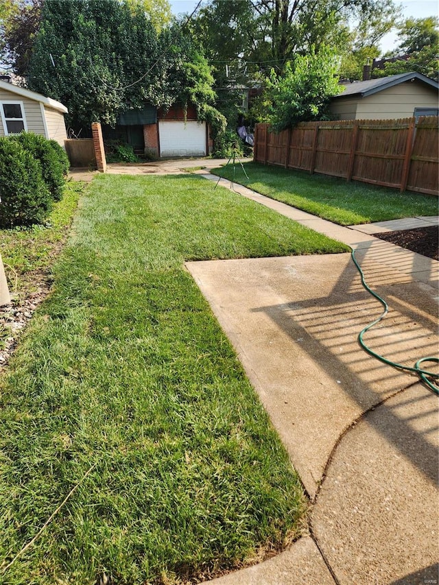 view of yard featuring a patio area