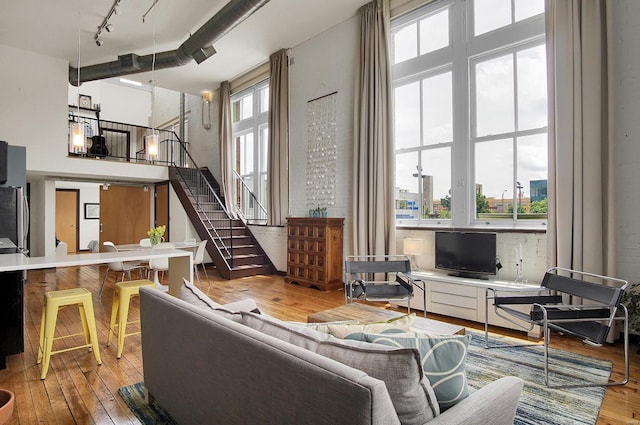 living room featuring hardwood / wood-style flooring and rail lighting